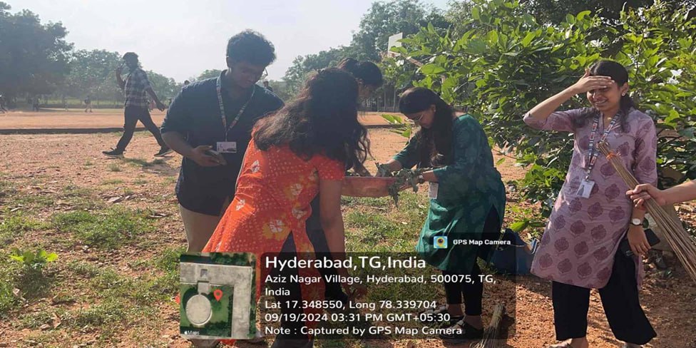 Tree Plantation