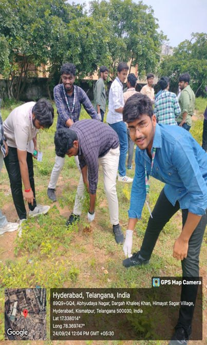 Tree Plantation