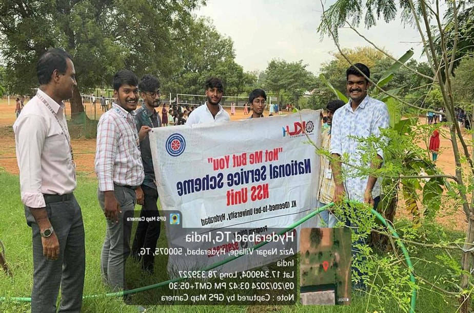 Tree Plantation